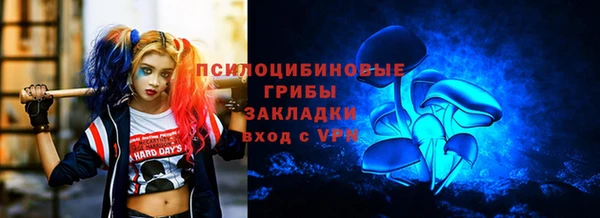 стаф Мегион