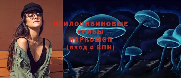 стаф Мегион
