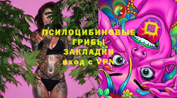 альфа пвп Медвежьегорск
