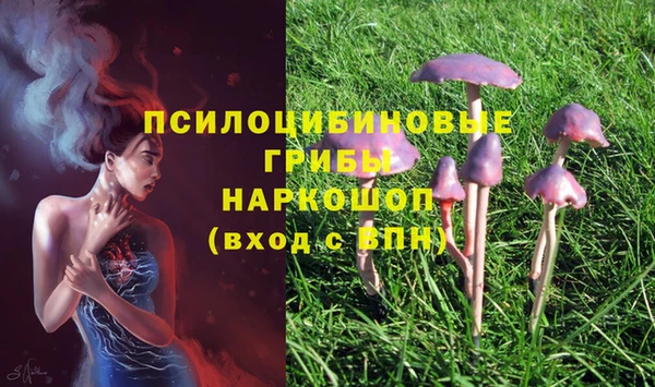метадон Медногорск
