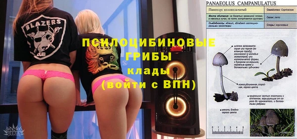 альфа пвп Медвежьегорск
