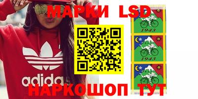 винт Будённовск