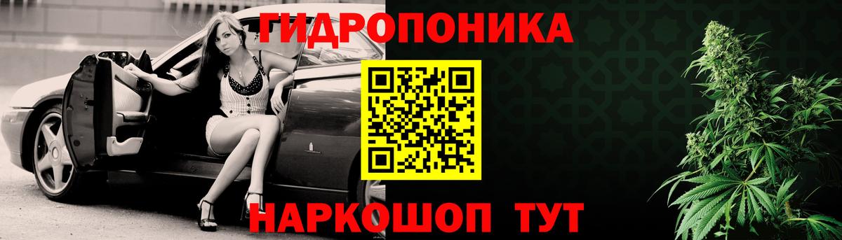 Конопля конопля Фрязино